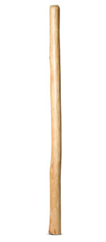 Natural Finish Didgeridoo (TW830)